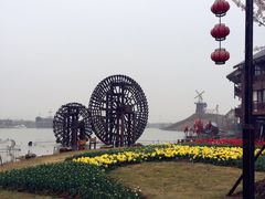 -金卉庄园