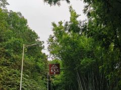 -广州市帽峰山景区