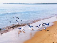 -金梦海湾浴场