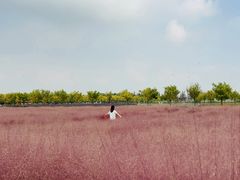 -嘉北郊野公园