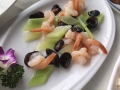 -云中小雅