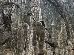 -西华公园