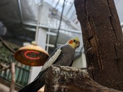 -正佳雨林生态植物园