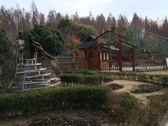 -东平国家森林公园