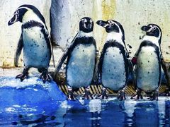 -太平洋海底世界