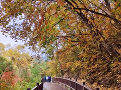 -云顶山风景区