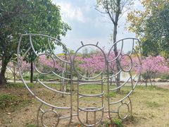 -天适樱花悠乐园