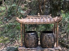 -木兰云雾山
