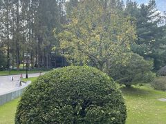 -上海虹桥迎宾馆