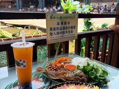 -西双版纳原始森林公园