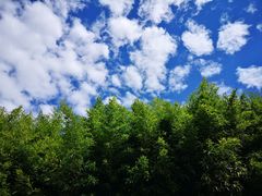 -南诏风情岛