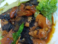 -清新鸡沙田乳鸽店(金融店)