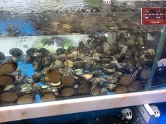 水产区-汇丰百宴(甲尔坝农贸市场店)
