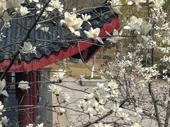 -堤角公园
