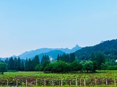 -九华山风景区