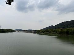 -长广溪湿地公园