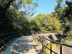 -狮子山郊野公园