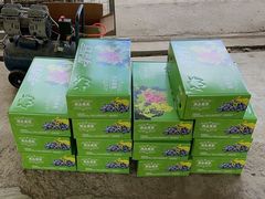 -马陆小张葡萄园农家乐