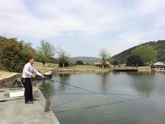 -龙寺生态园