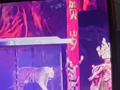 -广州长隆国际大马戏