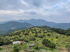 -广州市石门国家森林公园