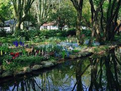 -上海共青森林公园