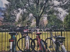 -玺尊龙·云岭四季(西南店)