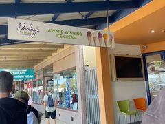 -Dooley's Premium Ice Cream