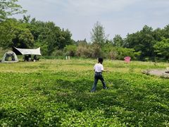 -桤木河湿地公园