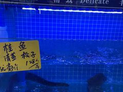 -老绍兴养和饭店(向阳不夜城店)