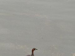 -大理洱海