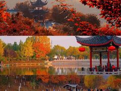 -北宫国家森林公园