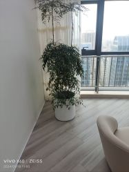 -HEYAN荷妍专业脱毛连锁机构