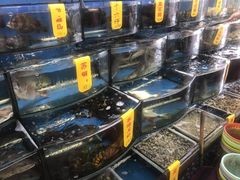 -渔中舟海鲜大排档(普陀沈家门店)