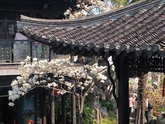 -何园