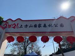 -苏州上方山国家森林公园