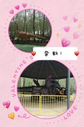 -汉石桥湿地童趣乐园