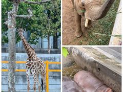 -西霞口神雕山野生动物世界