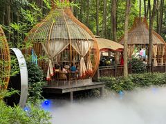 -二荆条·蜀鲜汇城市森林火锅