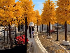 -Blue Concept Cafe&Farm·關於藍