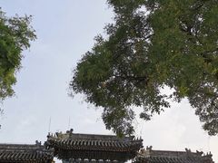 -白云观