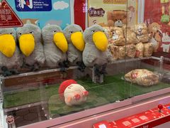 -LLJ夹机占(清河万象汇店)