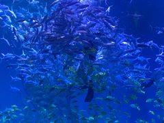 -哈尔滨波塞冬海底世界