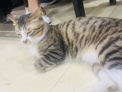 -玉椰林甜品店(创始店)