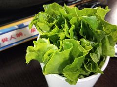生菜-拾下卜卜贝•海鲜火锅