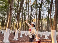 -艾溪湖湿地公园