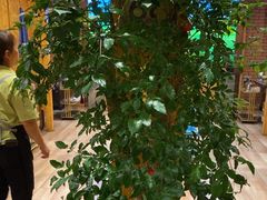 -喜来顺(悦合店)