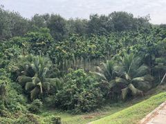 -七仙岭温泉国家森林公园