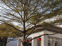 -深圳国际园林花卉博览园