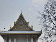 -洛阳白马寺